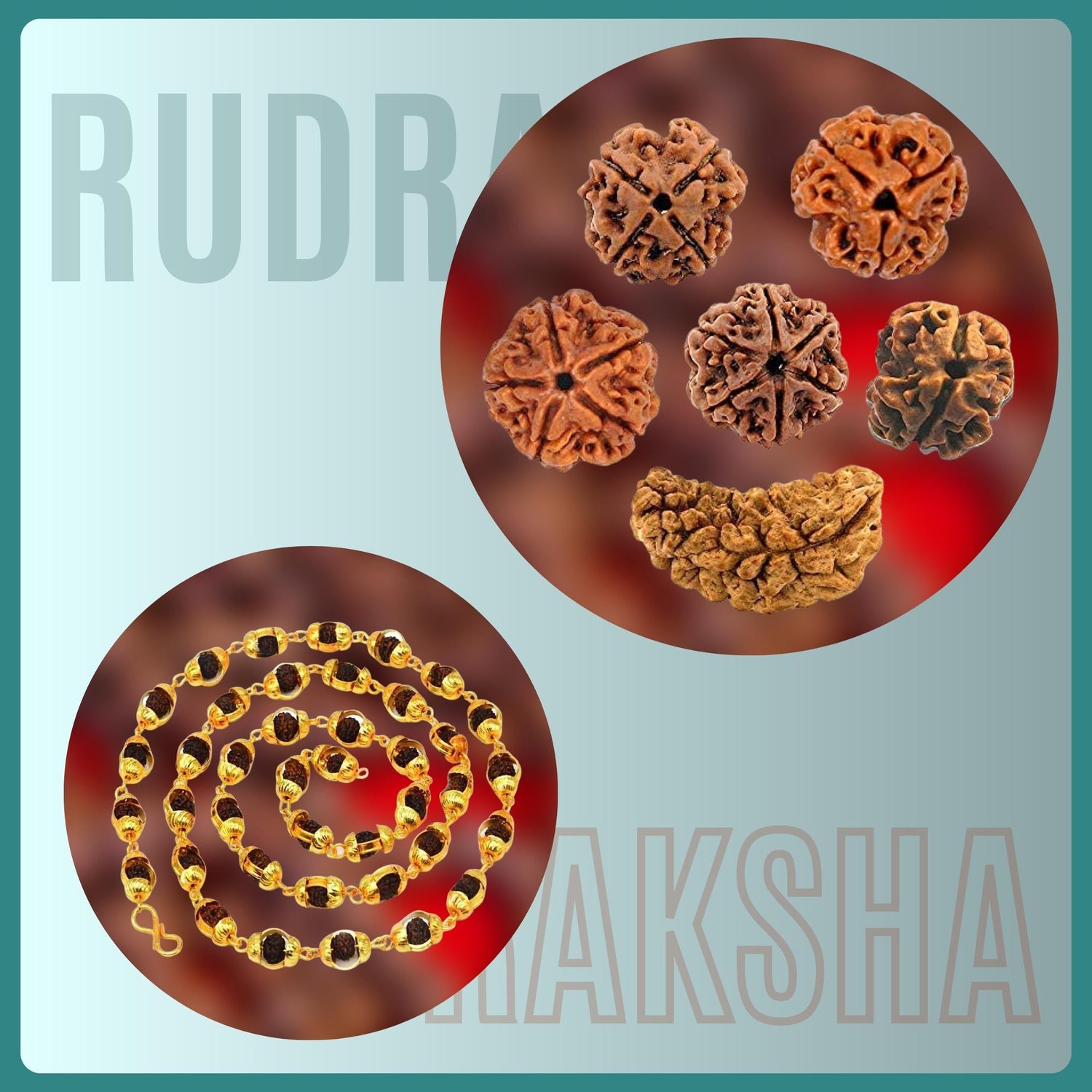 Rudraksh