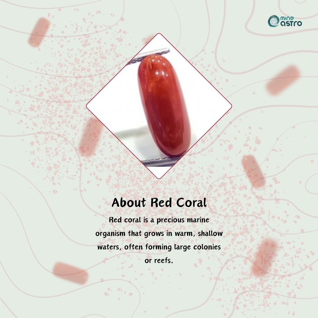 Red Coral