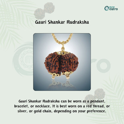 Gauri Shankar Rudraksha