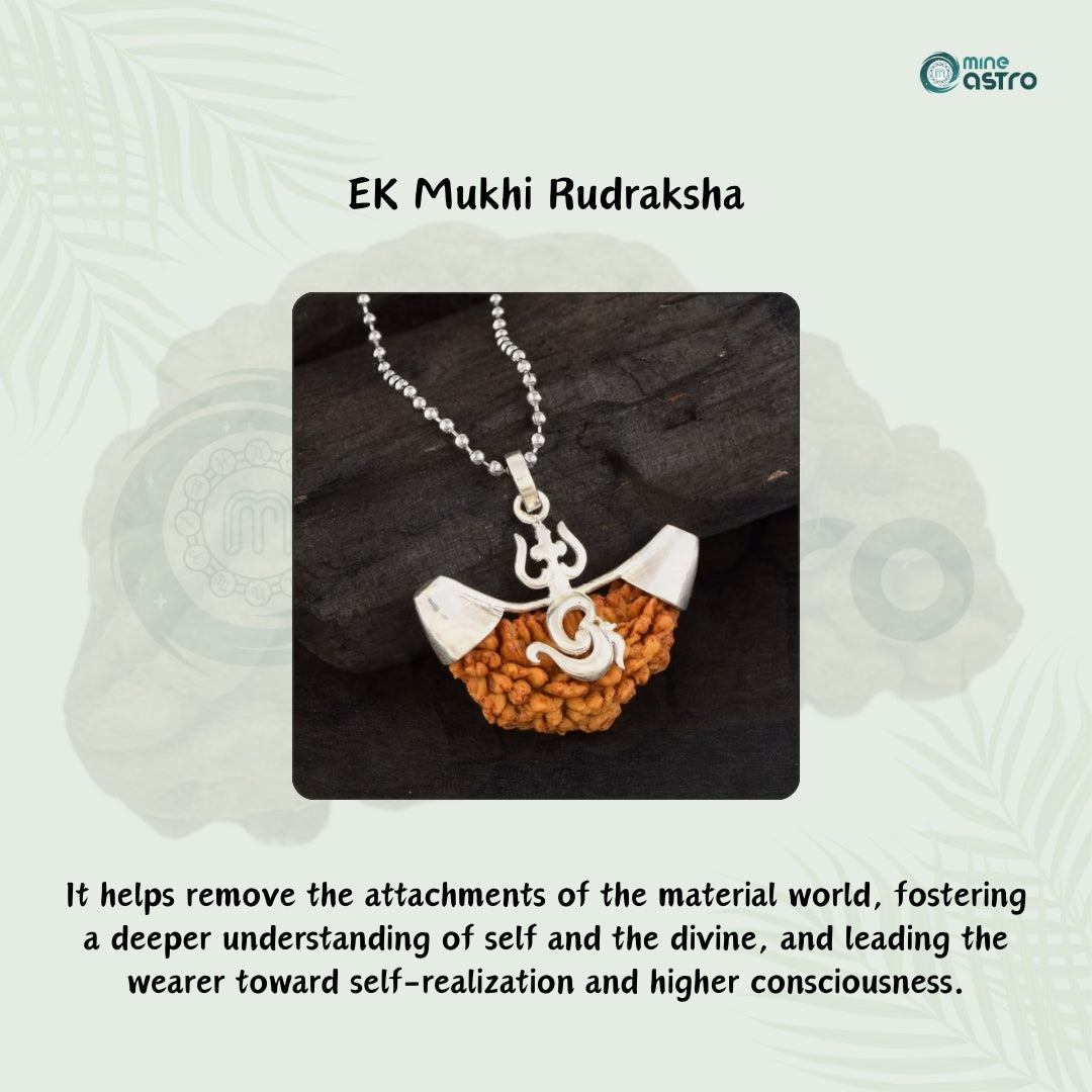 Ek Mukhi Rudraksha