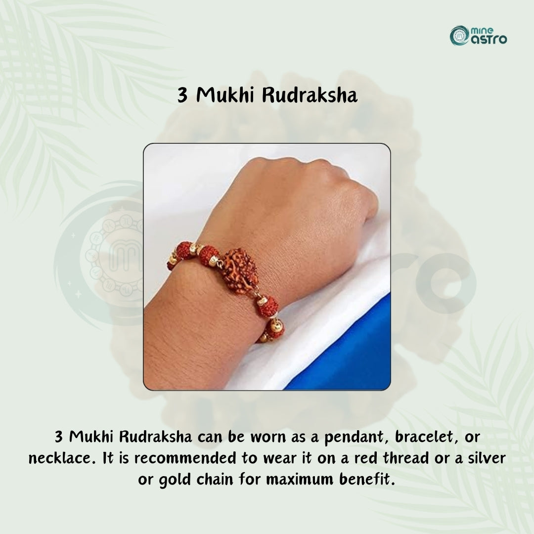 Nepal Origin 3 Mukhi Rudraksha