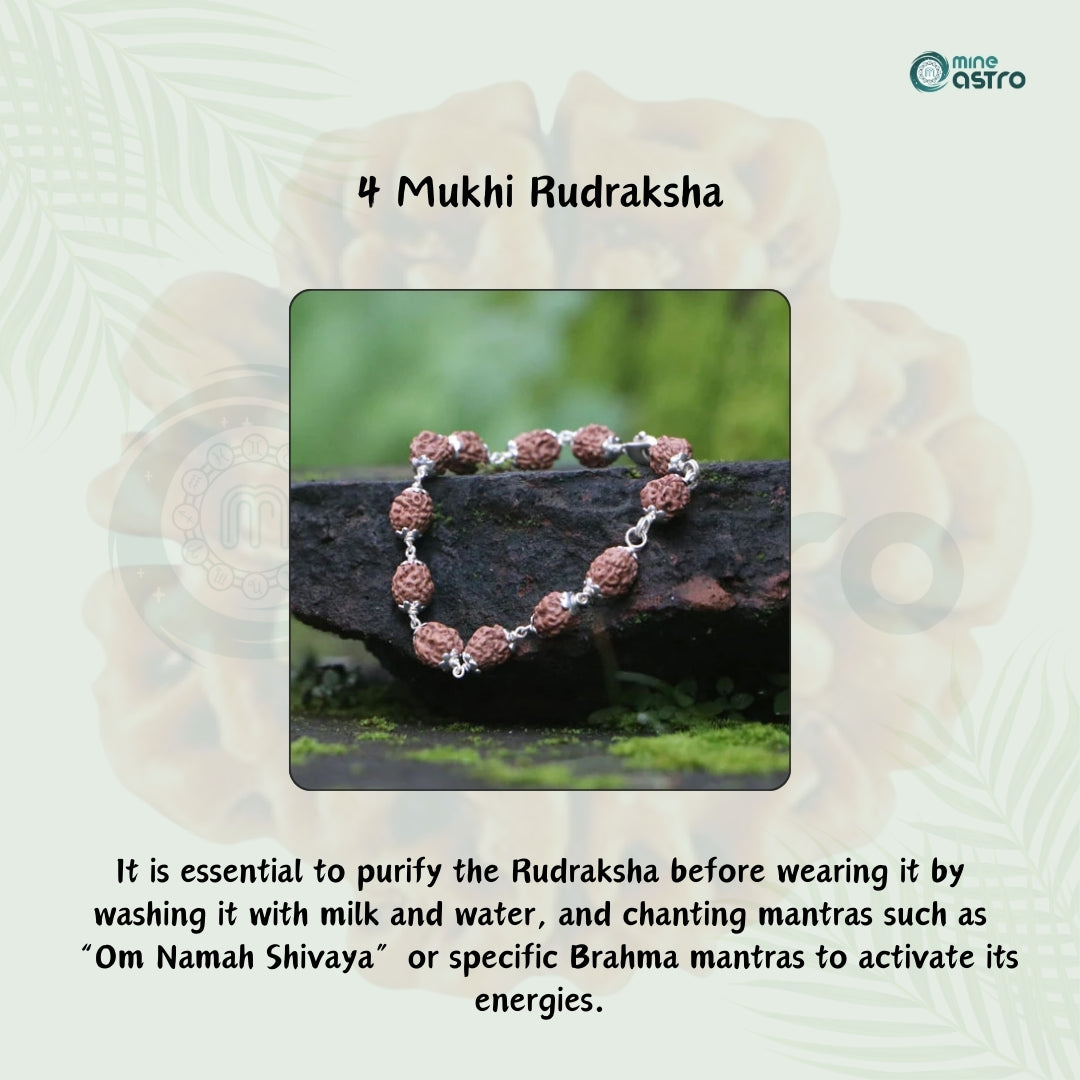 Nepal Origin 4 Mukhi Rudraksha