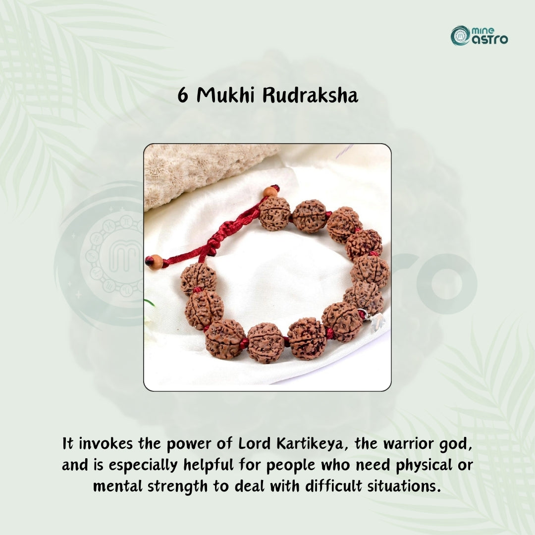 Nepal Origin 6 Mukhi Rudraksha