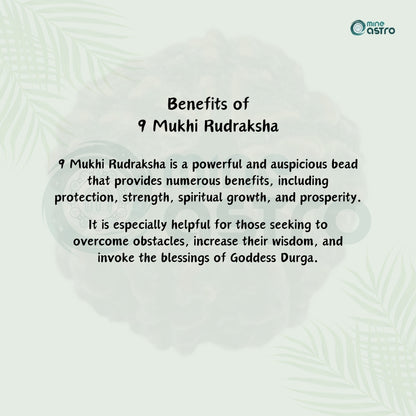 Nepal Origin 9 Mukhi Rudraksha