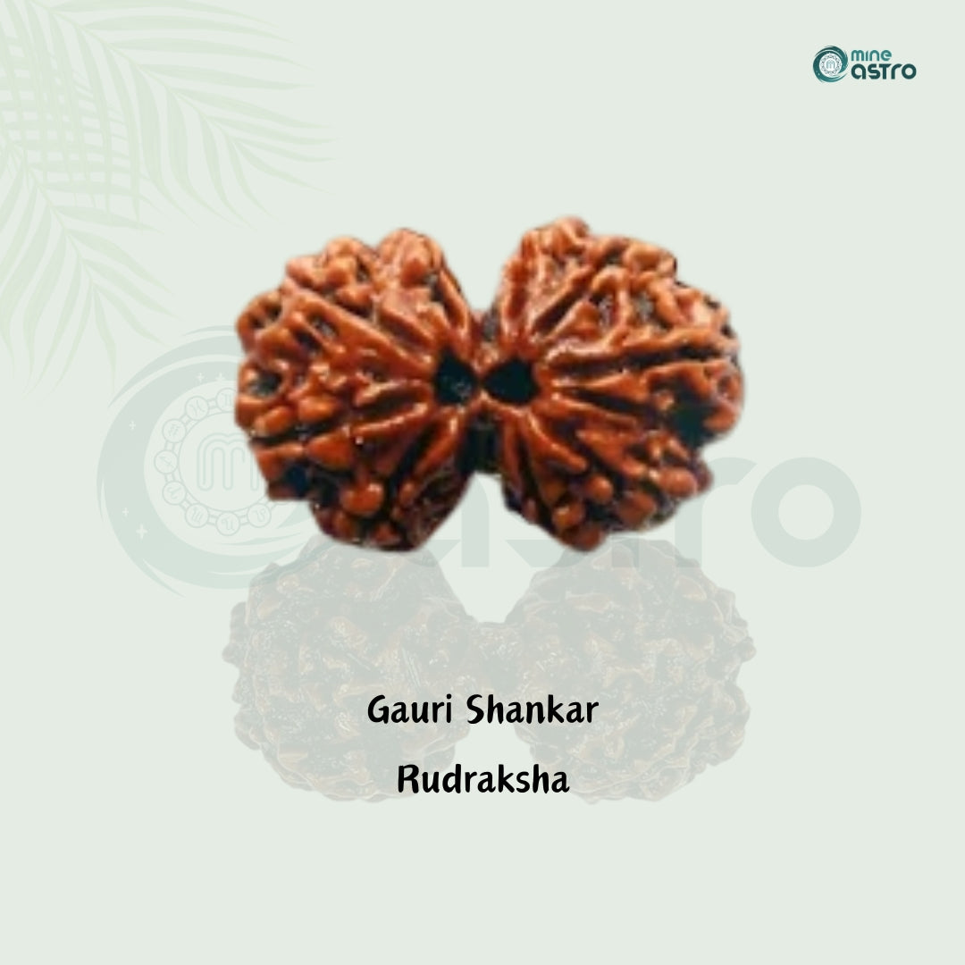 Gauri Shankar Rudraksha